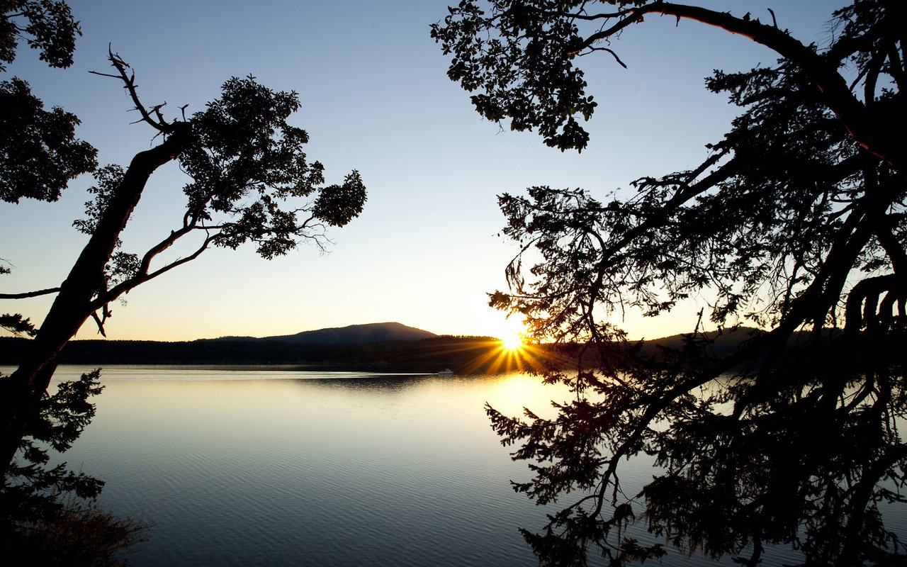 Обои деревья, озеро, горы, закат, ветки, водоем, даль, силуэты, trees, lake, mountains, sunset, branches, pond, dal, silhouettes разрешение 1920x1080 Загрузить