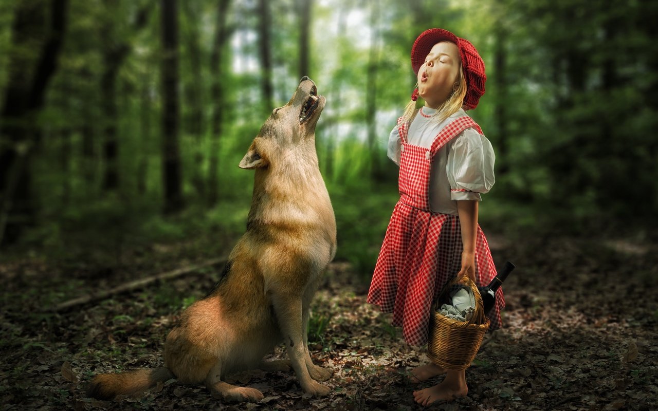 Обои лес, ситуация, девочка, волк, встреча, красная шапочка, forest, the situation, girl, wolf, meeting, little red riding hood разрешение 2000x1333 Загрузить