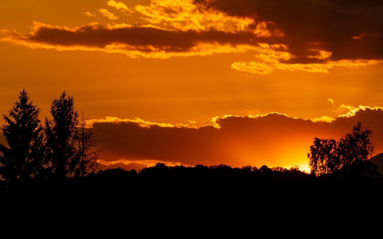 Обои небо, деревья, солнце, закат, силуэт, the sky, trees, the sun, sunset, silhouette разрешение 3840x2160 Загрузить