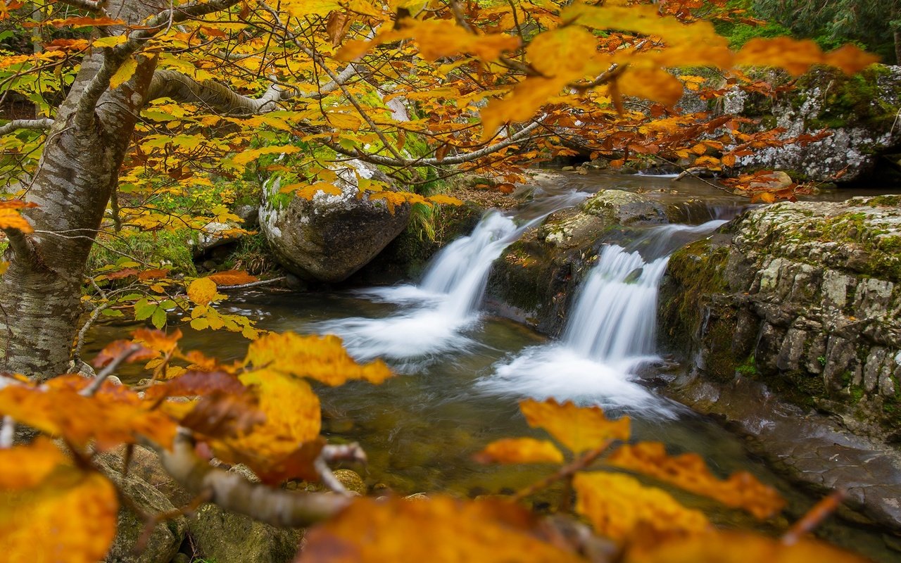 Обои деревья, река, ветки, водопад, осень, trees, river, branches, waterfall, autumn разрешение 2000x1334 Загрузить