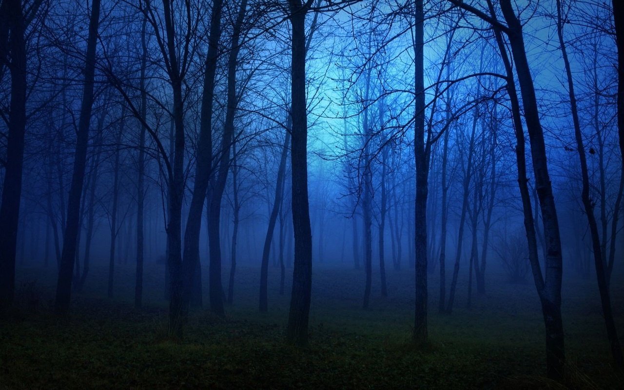 Обои ночь, деревья, природа, лес, туман, ветки, темно, night, trees, nature, forest, fog, branches, dark разрешение 1920x1080 Загрузить