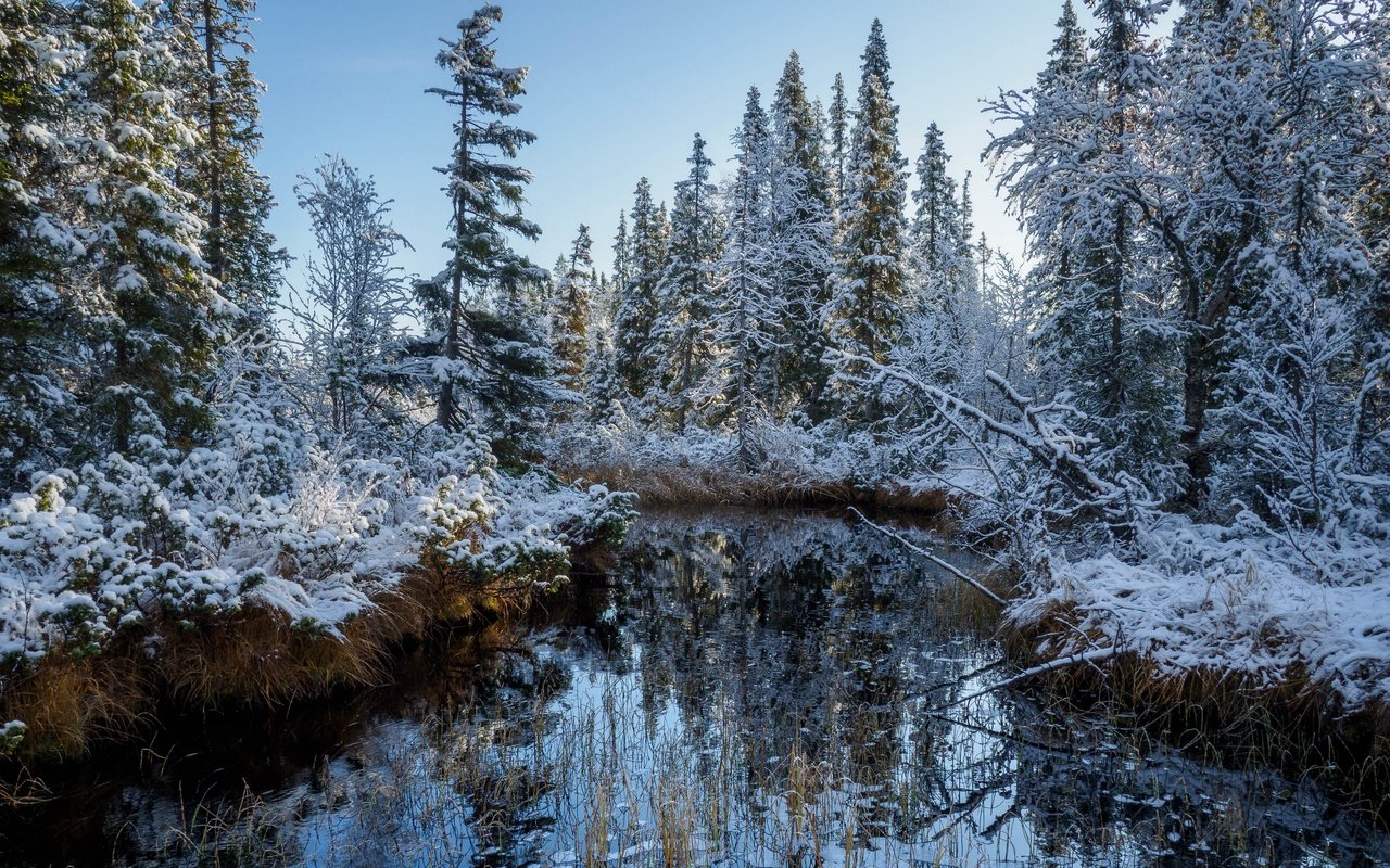 Обои река, снег, лес, осень, river, snow, forest, autumn разрешение 3840x2160 Загрузить