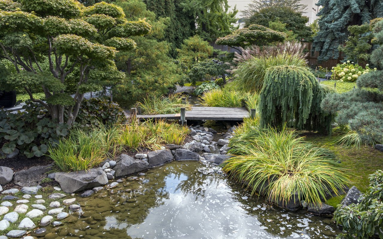 Обои природа, кустарники, мостик, kelowna kasugai gardens, парк, водоем, сад, поток, канада, деревь, nature, shrubs, the bridge, park, pond, garden, stream, canada, trees разрешение 2760x1700 Загрузить