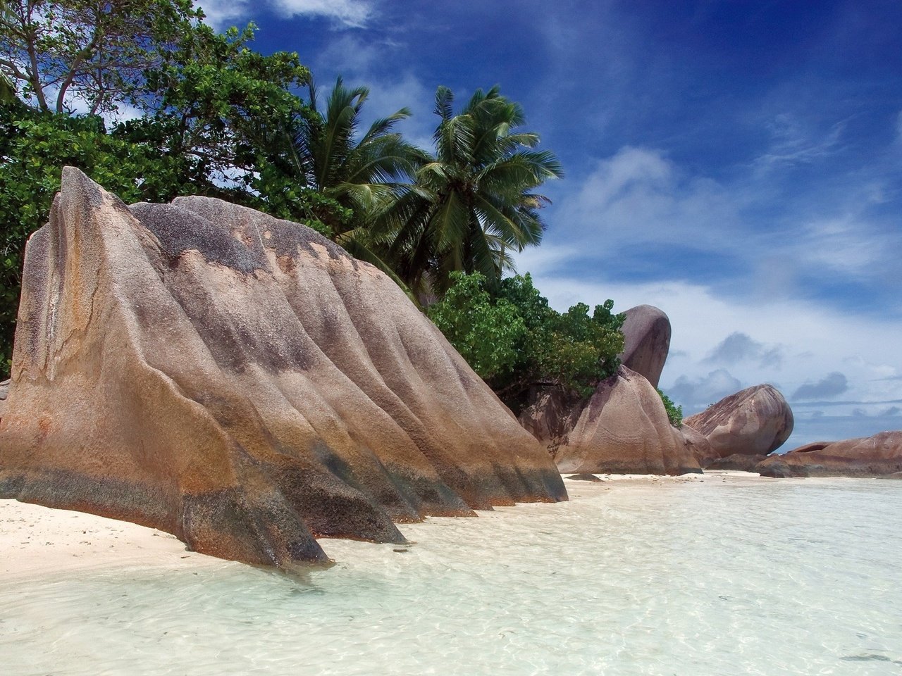 Обои камни, берег, пляж, пальмы, тропики, сейшелы, stones, shore, beach, palm trees, tropics, seychelles разрешение 1920x1200 Загрузить