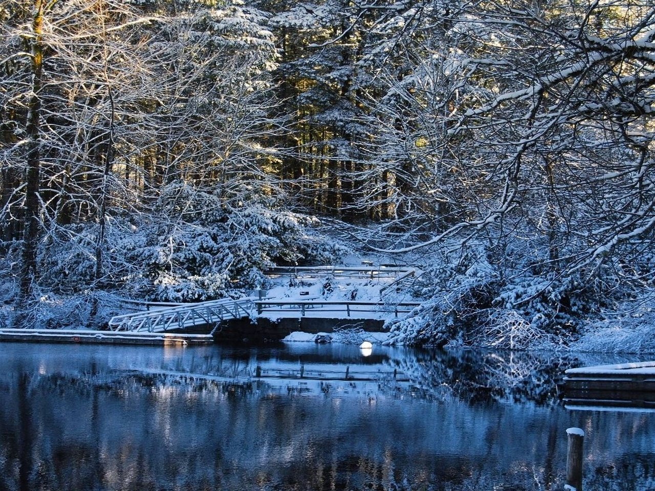 Обои деревья, вода, озеро, снег, зима, мост, trees, water, lake, snow, winter, bridge разрешение 1920x1080 Загрузить