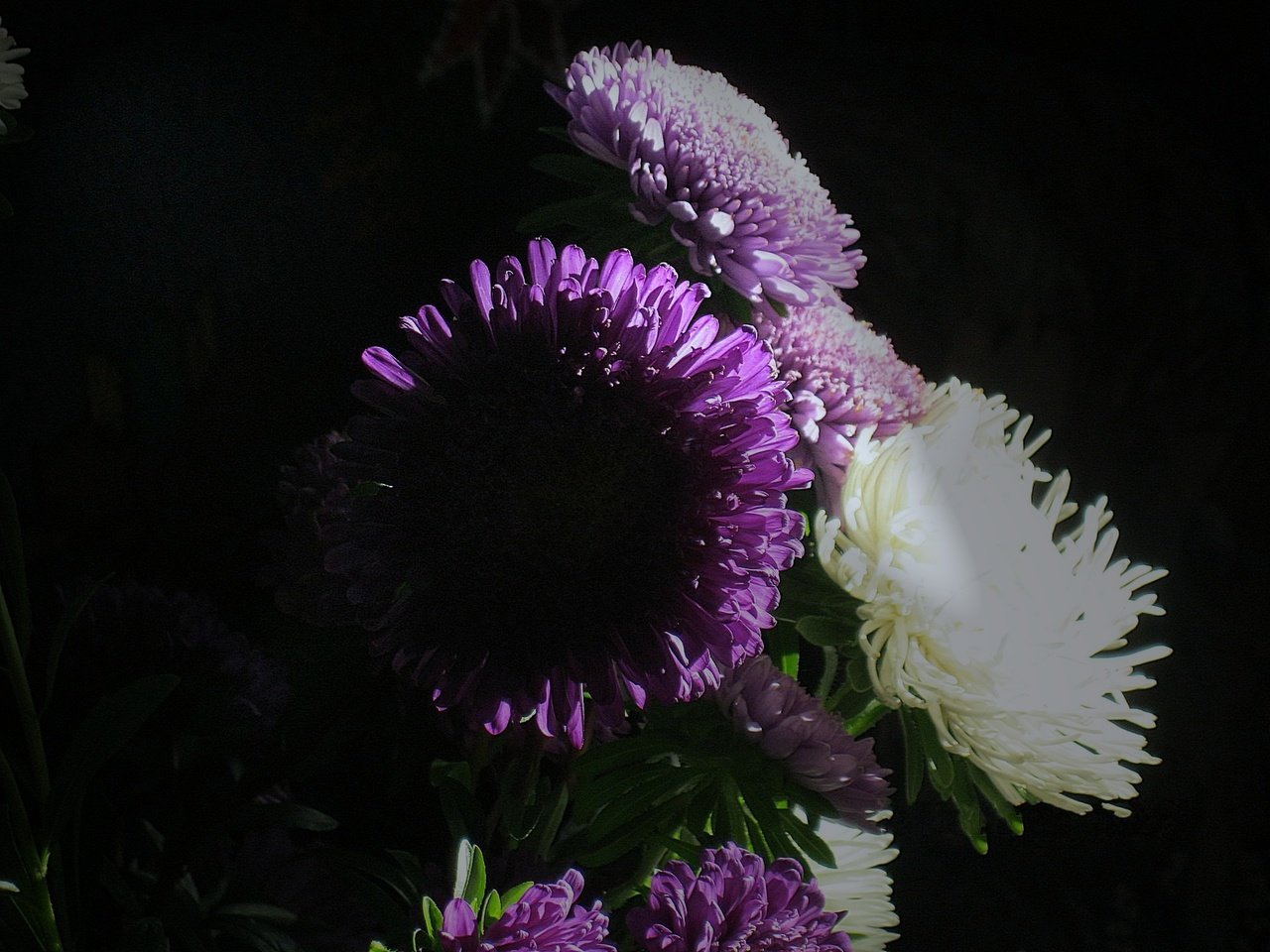 Обои cvety, svet, astry, десять, ten разрешение 1920x1440 Загрузить