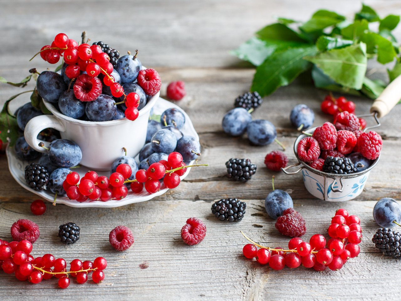 Обои малина, ягоды, красная смородина, ежевика, сливы, anna verdina, raspberry, berries, red currant, blackberry, plum разрешение 2000x1240 Загрузить