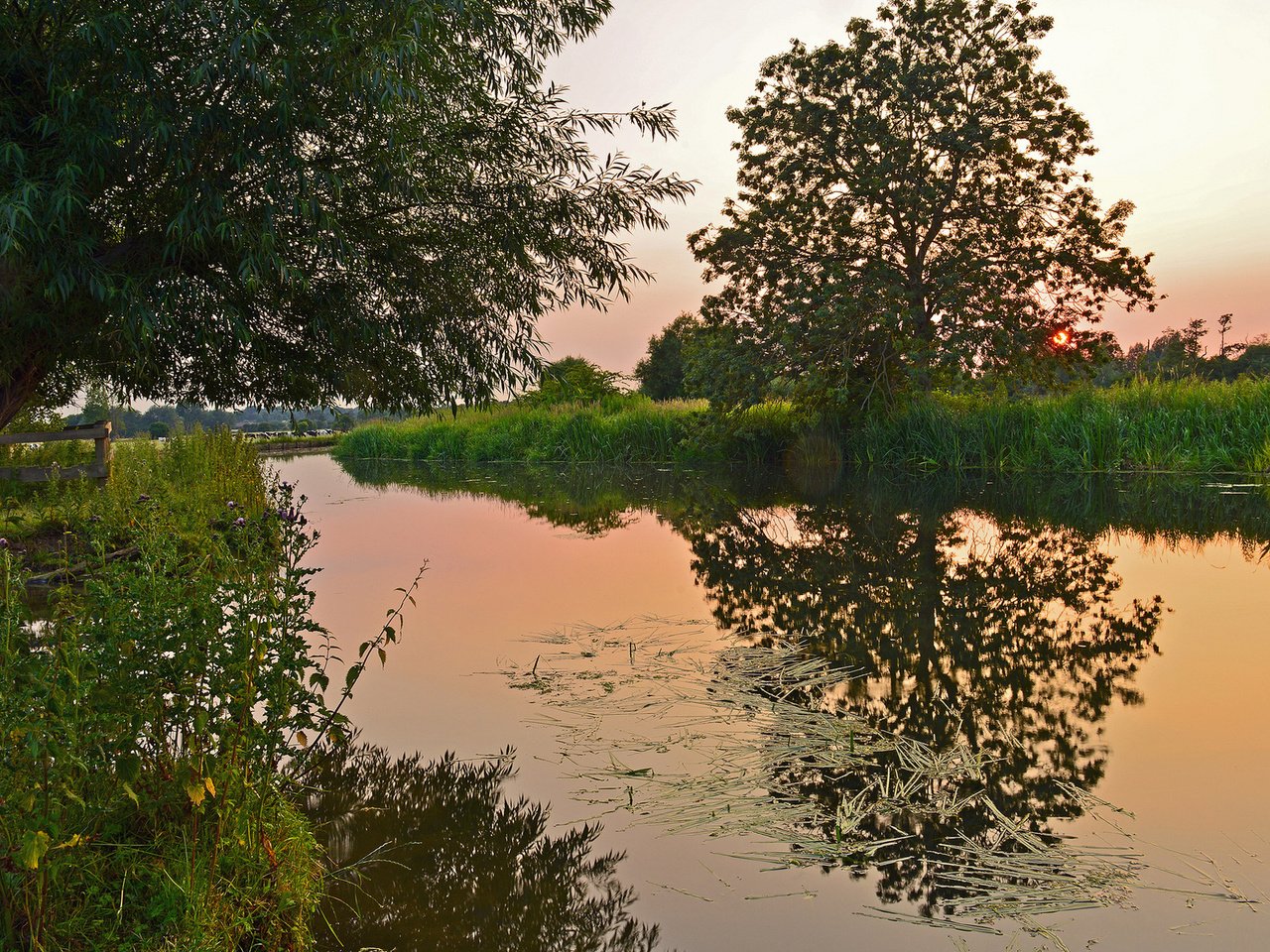 Обои деревья, вода, природа, закат, камыш, trees, water, nature, sunset, reed разрешение 1920x1200 Загрузить