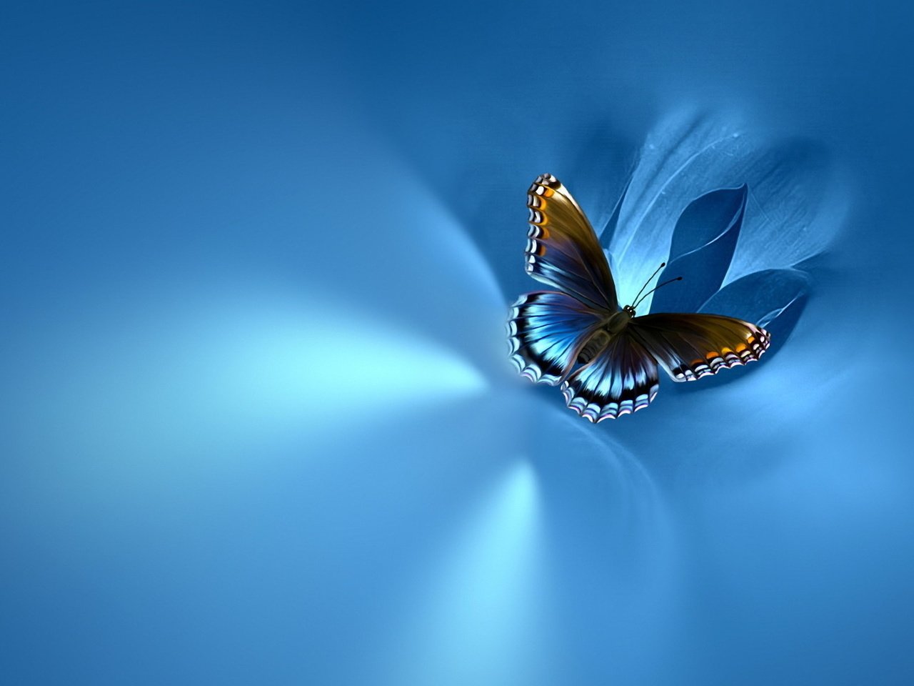 Обои фон, бабочка, на синем, background, butterfly, blue разрешение 1920x1080 Загрузить