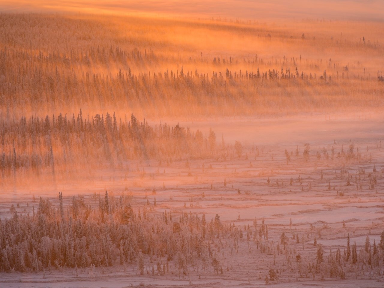 Обои свет, деревья, снег, лес, зима, light, trees, snow, forest, winter разрешение 2048x1367 Загрузить