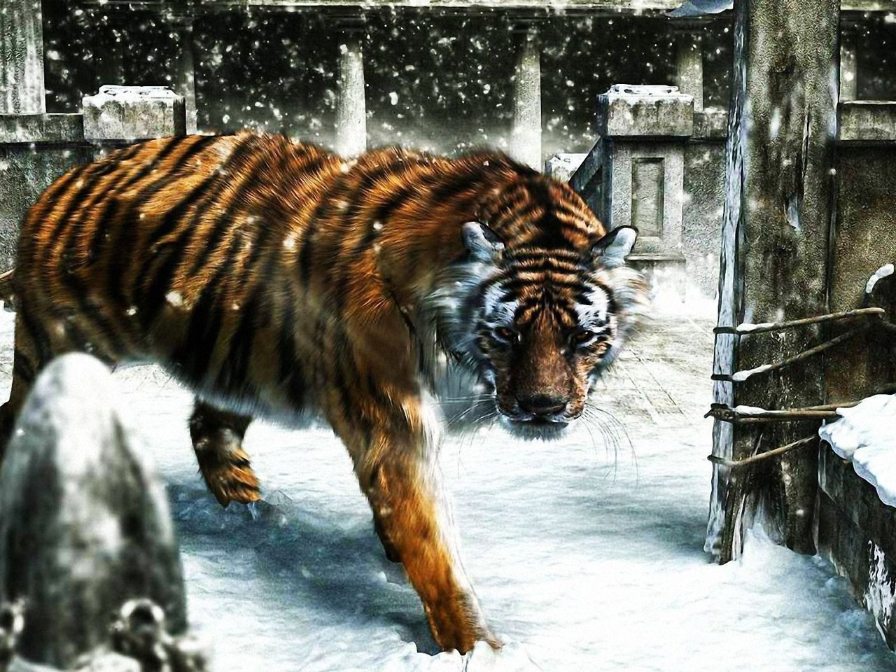 Обои тигр, снег, зима, рендеринг, tiger, snow, winter, rendering разрешение 1920x1200 Загрузить