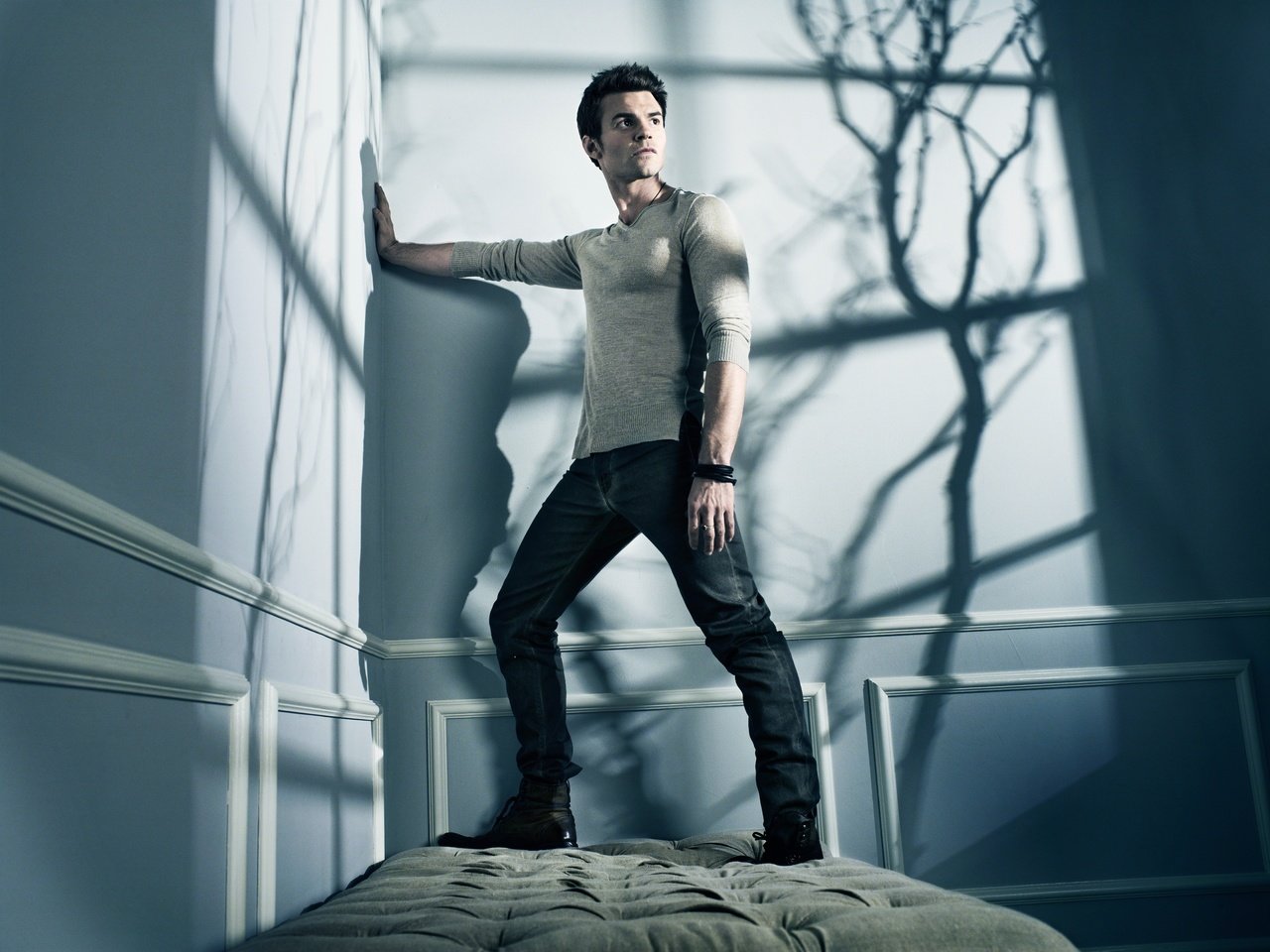 Обои тень, джинсы, мужчина, дэниел гиллис, daniel gillies, shadow, jeans, male, daniel gillis разрешение 8984x6732 Загрузить