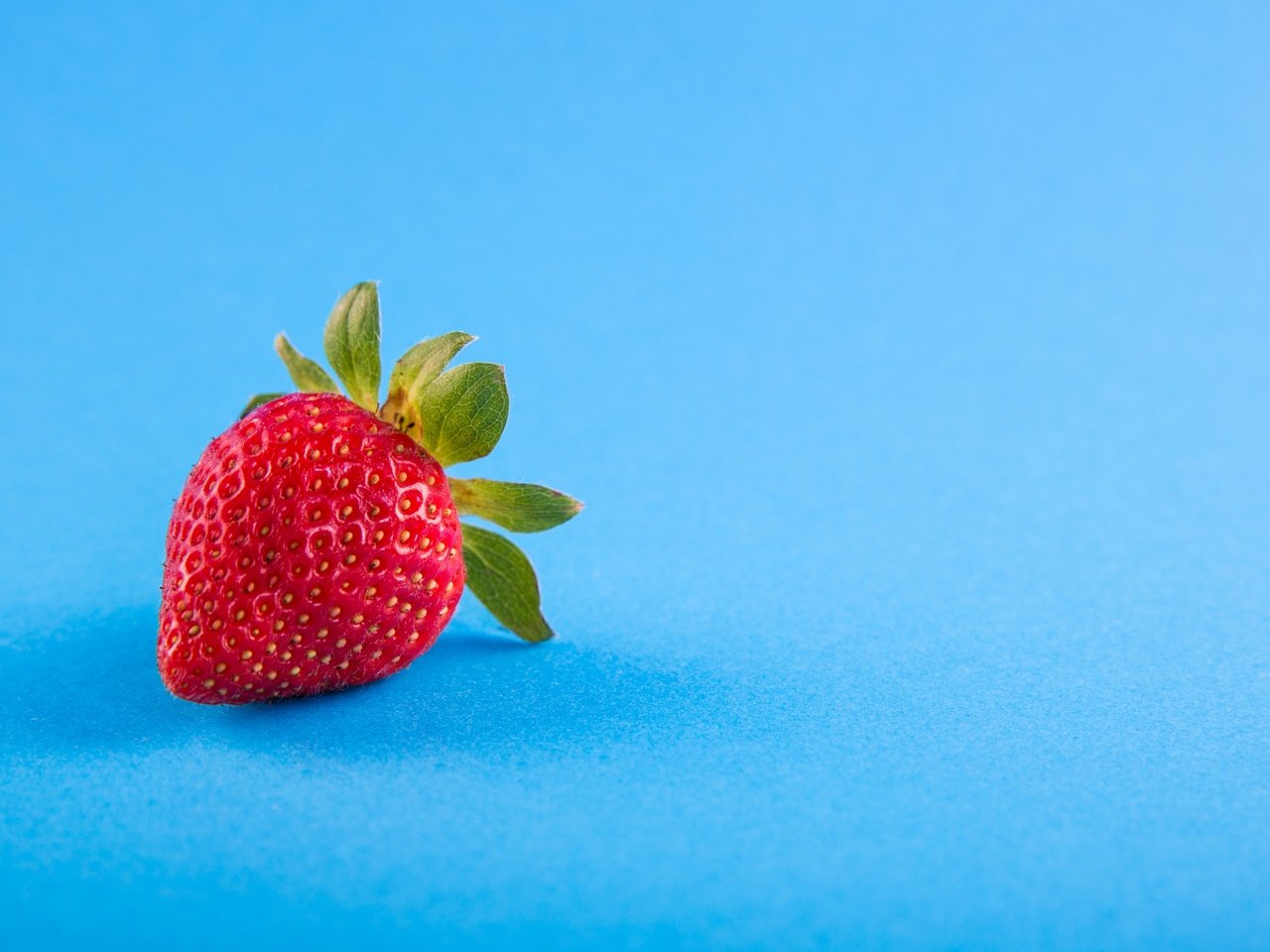 Обои ягода, клубника, голубой фон, berry, strawberry, blue background разрешение 4814x3218 Загрузить