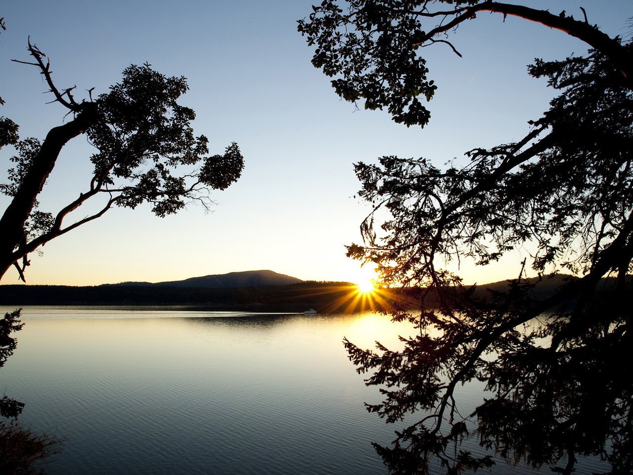 Обои деревья, озеро, горы, закат, ветки, водоем, даль, силуэты, trees, lake, mountains, sunset, branches, pond, dal, silhouettes разрешение 1920x1080 Загрузить