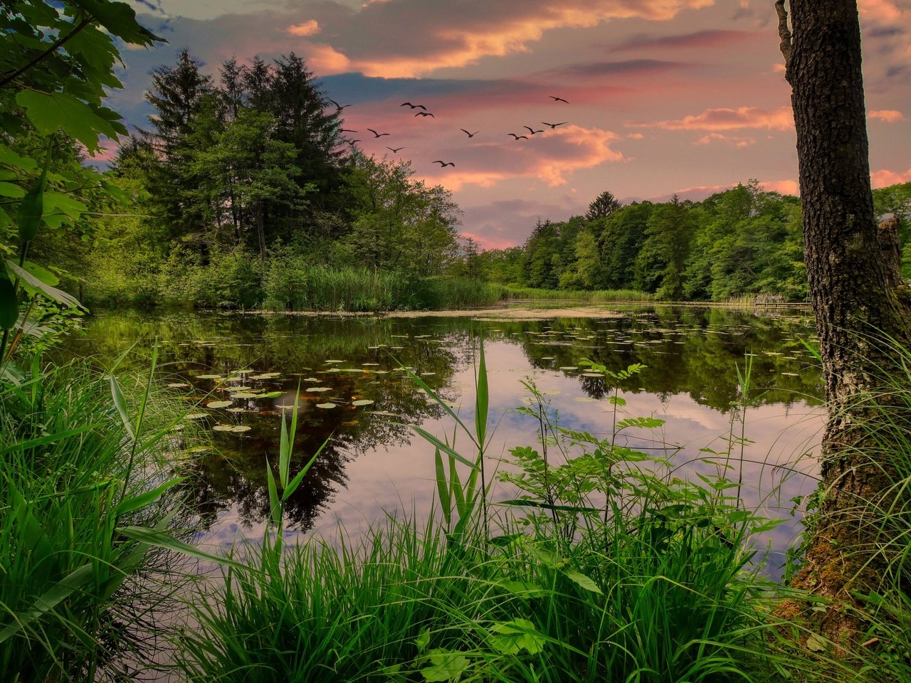 Обои небо, вода, озеро, природа, закат, птицы, the sky, water, lake, nature, sunset, birds разрешение 3840x2160 Загрузить