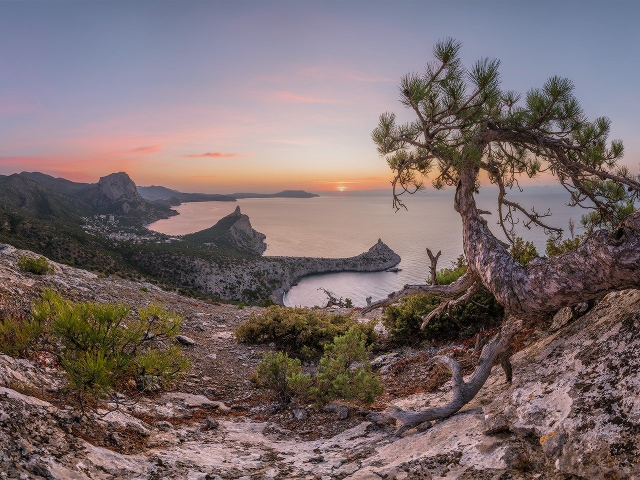 Обои скалы, крым, природа, пейзаж, море, утро, рассвет, осень, сосна, rocks, crimea, nature, landscape, sea, morning, dawn, autumn, pine разрешение 1980x1115 Загрузить