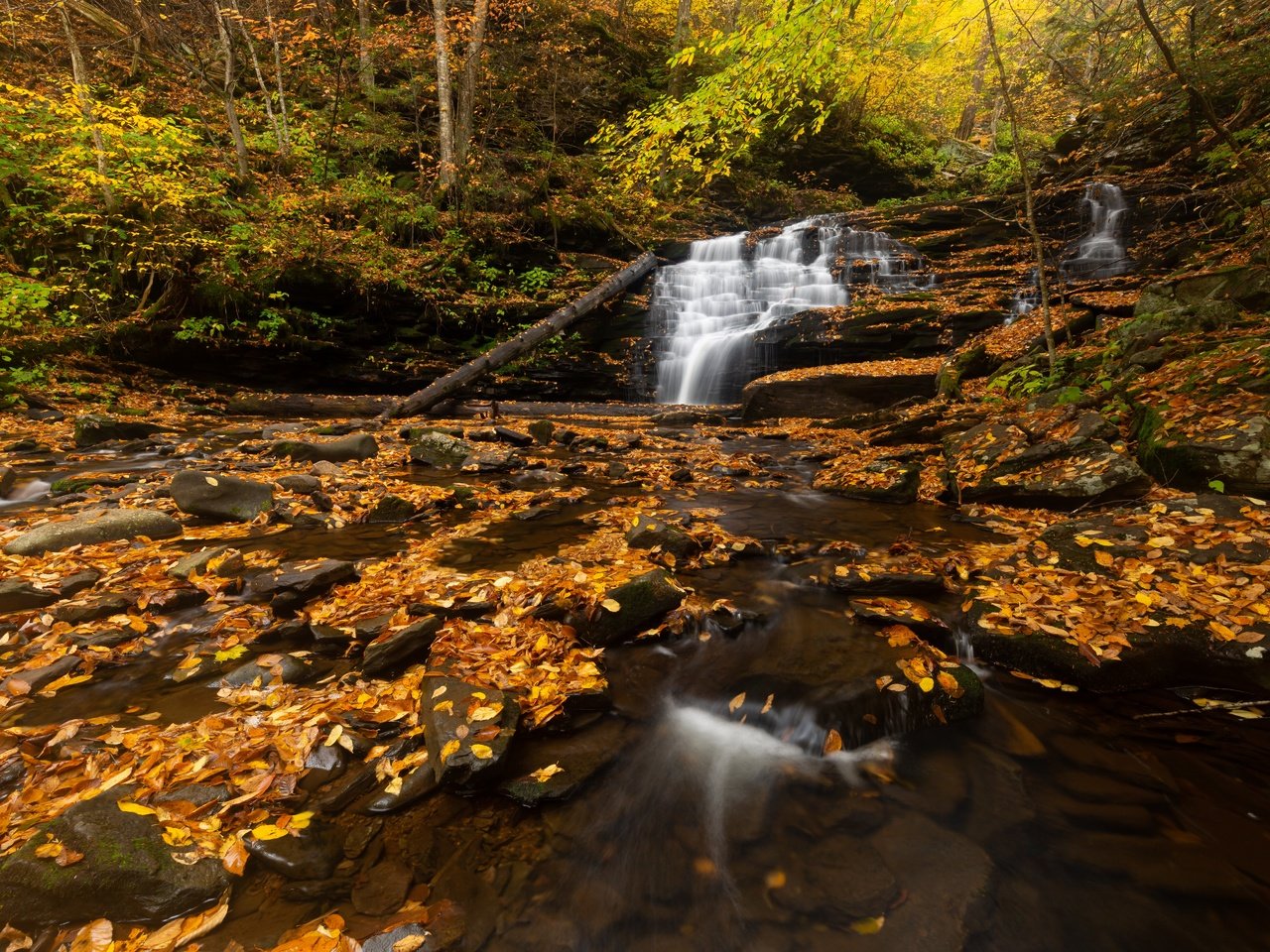 Обои лес, листва, водопад, forest, foliage, waterfall разрешение 5760x3840 Загрузить