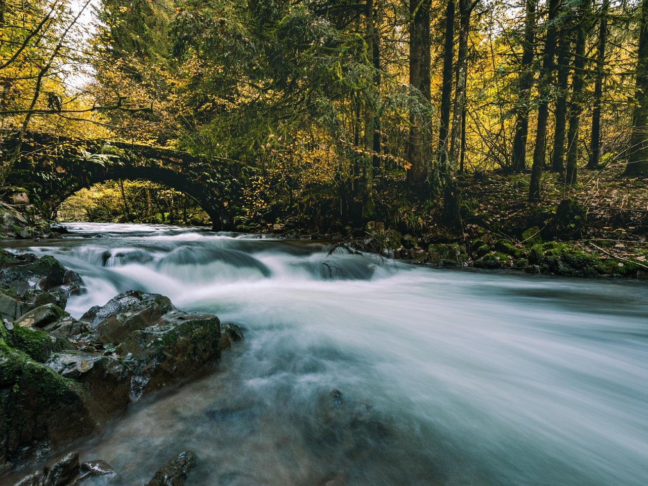 Обои река, лес, мост, осень, river, forest, bridge, autumn разрешение 7360x4585 Загрузить