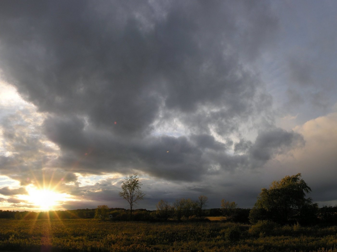 Обои небо, облака, деревья, солнце, the sky, clouds, trees, the sun разрешение 1920x1440 Загрузить