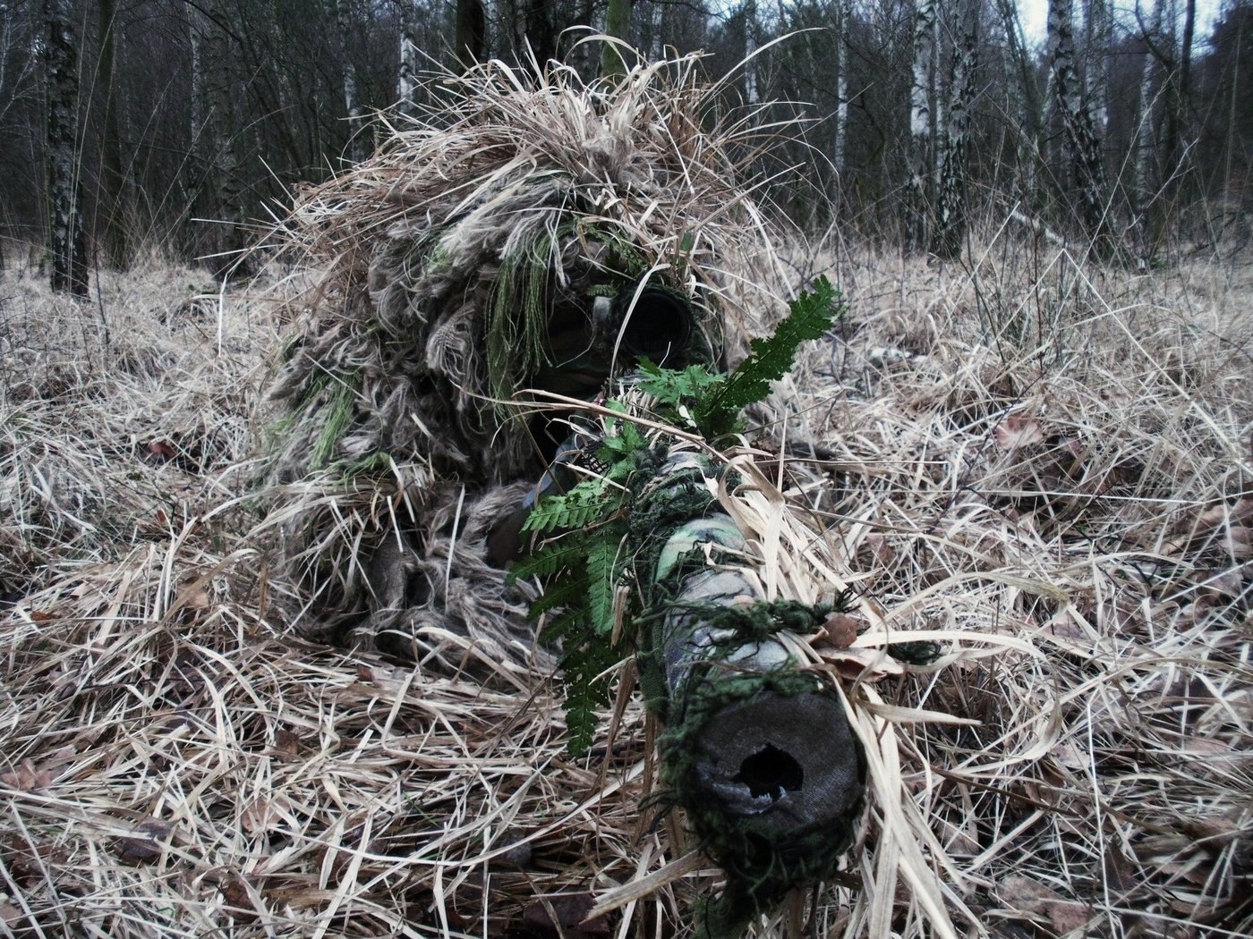 Обои снайпер, винтовка, прицел, оптика, камуфляж, sniper, rifle, sight, optics, camouflage разрешение 3648x2736 Загрузить