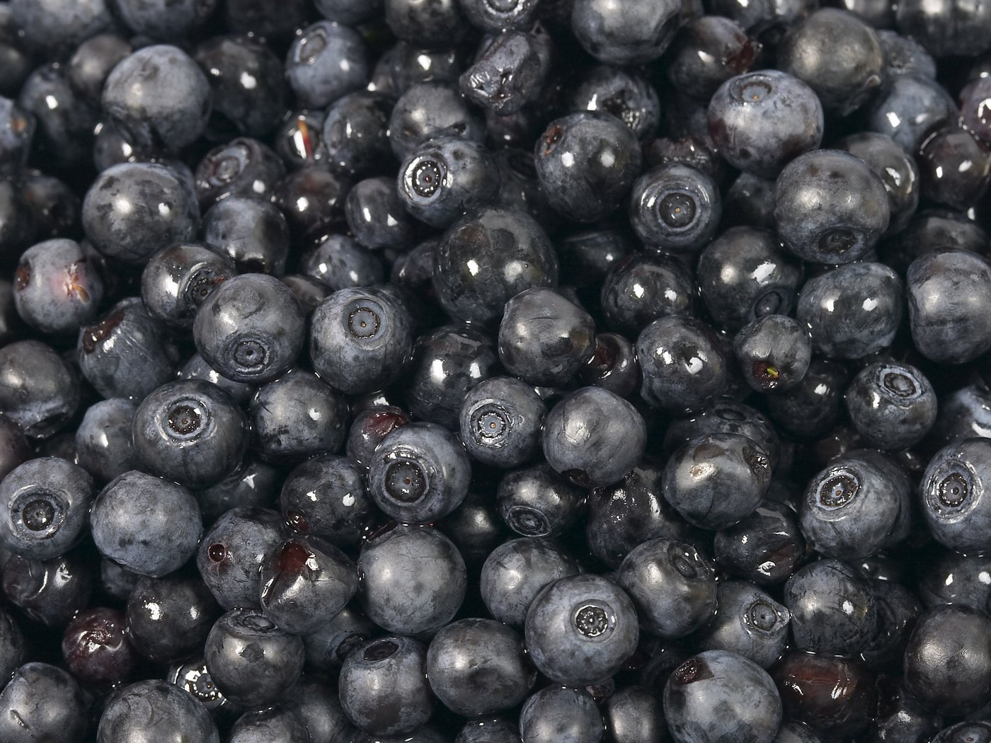 Обои черная, черника, сладкая, black, blueberries, sweet разрешение 2560x1600 Загрузить