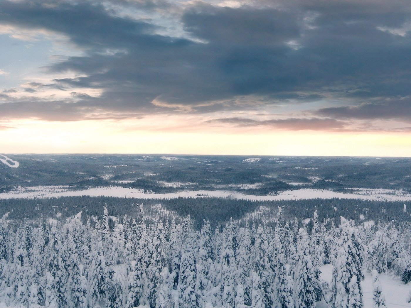 Обои облака, деревья, снег, лес, зима, clouds, trees, snow, forest, winter разрешение 1920x1200 Загрузить