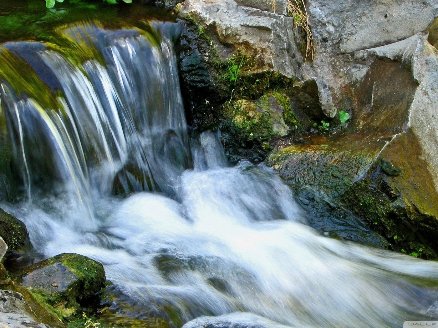 Обои река, камни, ручей, водопад, поток, мох, течение, river, stones, stream, waterfall, moss, for разрешение 1920x1080 Загрузить