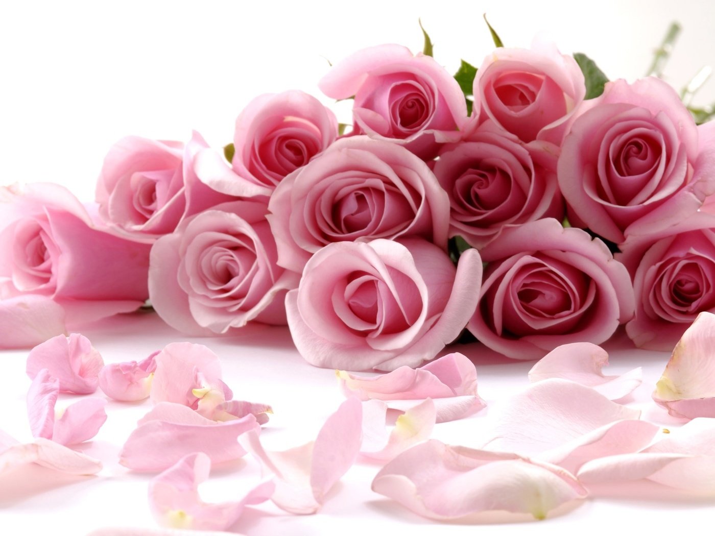 Обои цветы, бутоны, розы, лепестки, букет, 8 марта, на, flowers, buds, roses, petals, bouquet, march 8, on разрешение 2560x1600 Загрузить