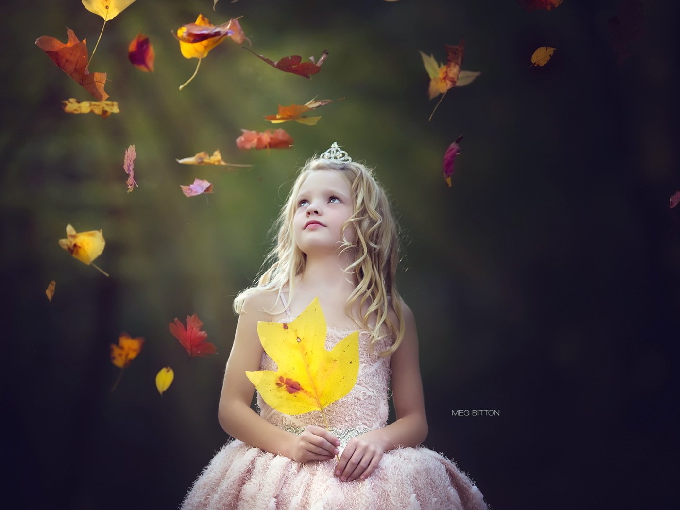 Обои листья, настроение, осень, дети, девочка, leaves, mood, autumn, children, girl разрешение 2048x1363 Загрузить