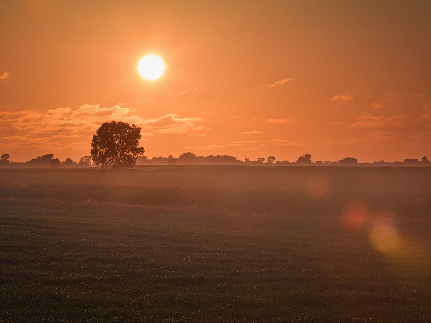 Обои небо, облака, солнце, утро, туман, поле, рассвет, the sky, clouds, the sun, morning, fog, field, dawn разрешение 1920x1080 Загрузить