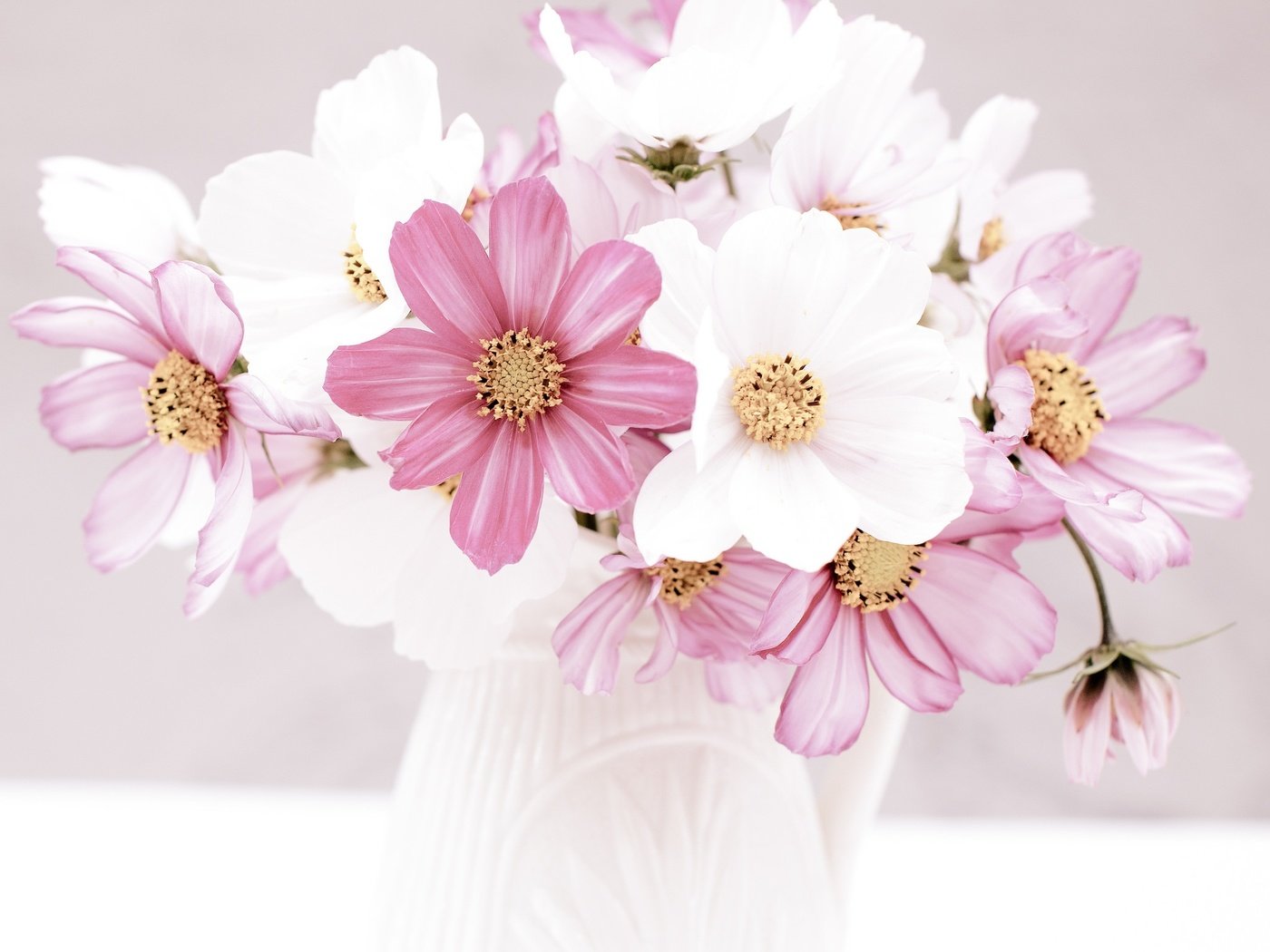 Обои цветы, букетик, кувшин, космея, flowers, a bunch, pitcher, kosmeya разрешение 2048x2048 Загрузить