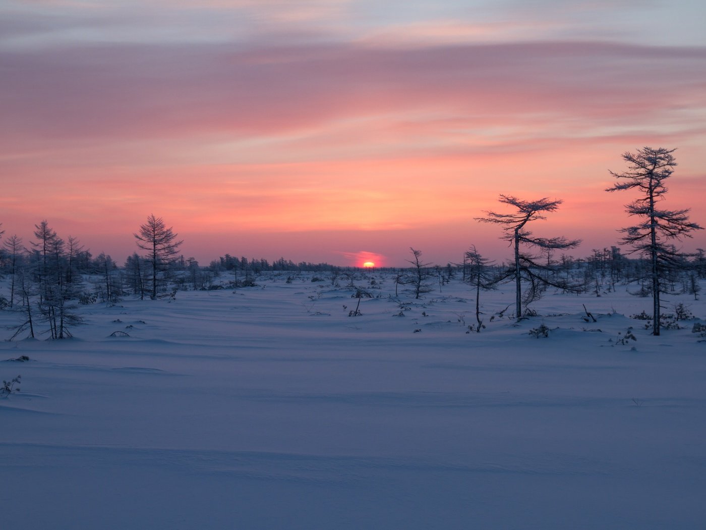 Обои деревья, восход, снег, зима, рассвет, россия, сахалин, trees, sunrise, snow, winter, dawn, russia, sakhalin разрешение 3600x2400 Загрузить