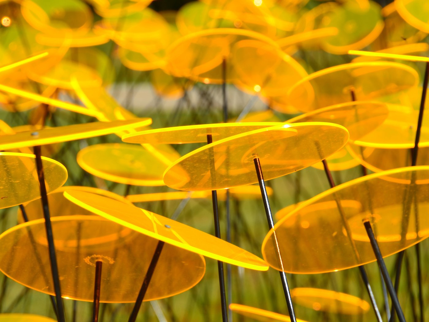 Обои желтый, сад, пластины, круг, диск, скульптура, yellow, garden, plate, round, disk, sculpture разрешение 3840x2400 Загрузить