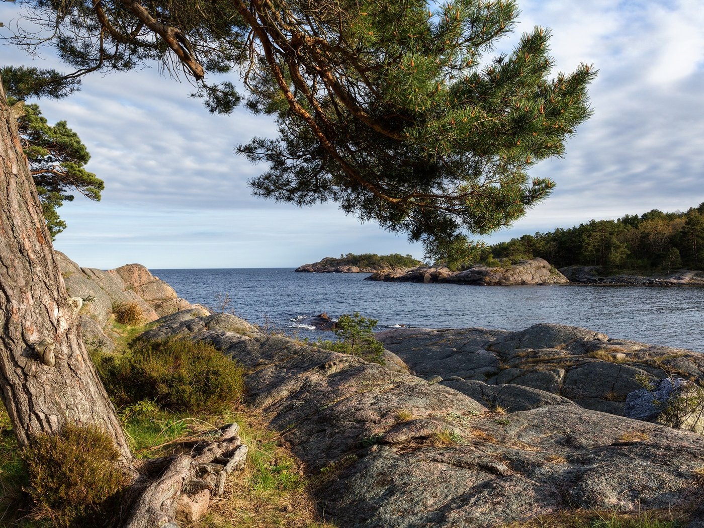 Обои небо, облака, дерево, камни, берег, море, the sky, clouds, tree, stones, shore, sea разрешение 2048x1366 Загрузить