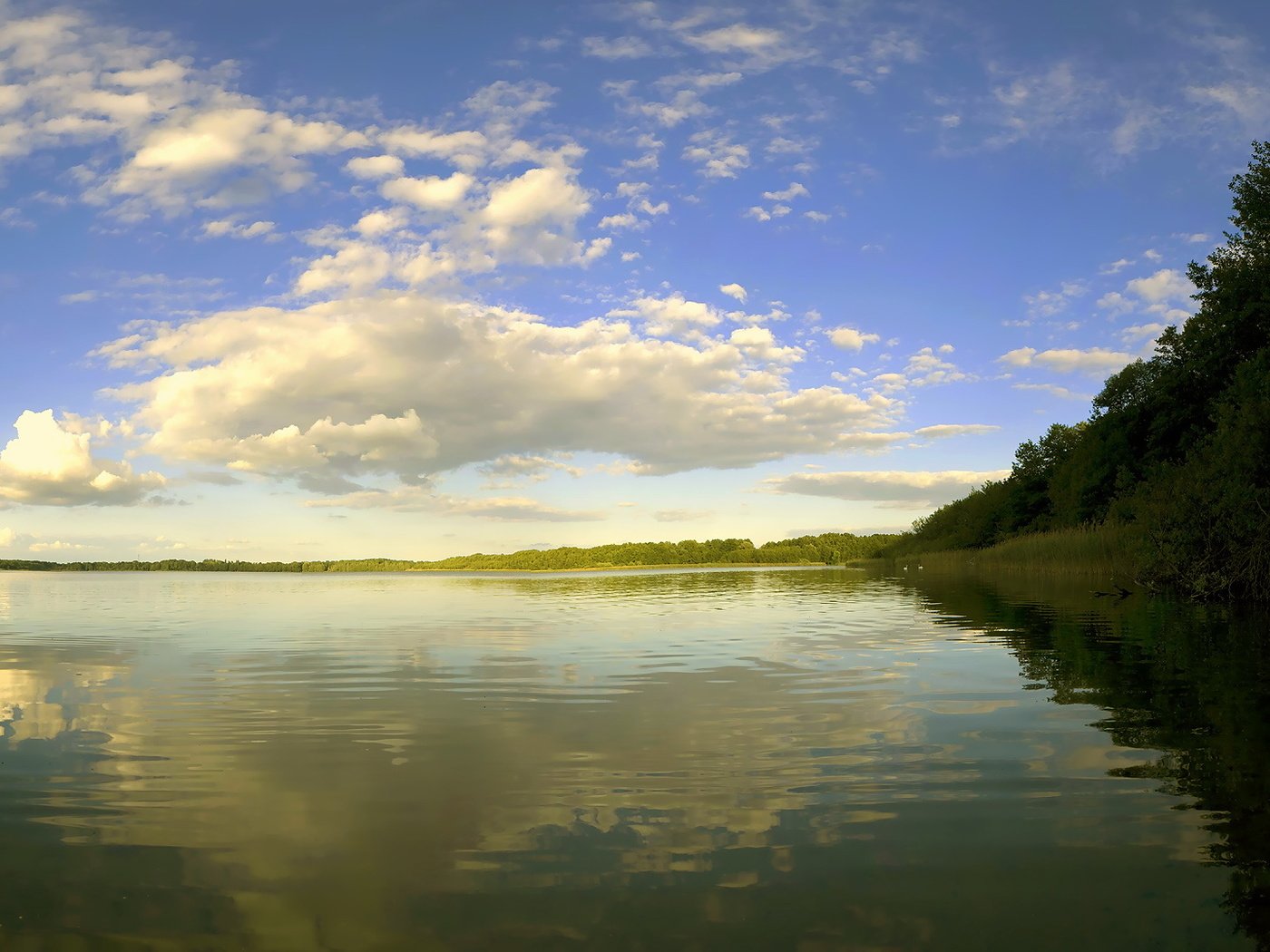 Обои небо, облака, деревья, река, природа, берег, лес, отражение, the sky, clouds, trees, river, nature, shore, forest, reflection разрешение 1920x1080 Загрузить