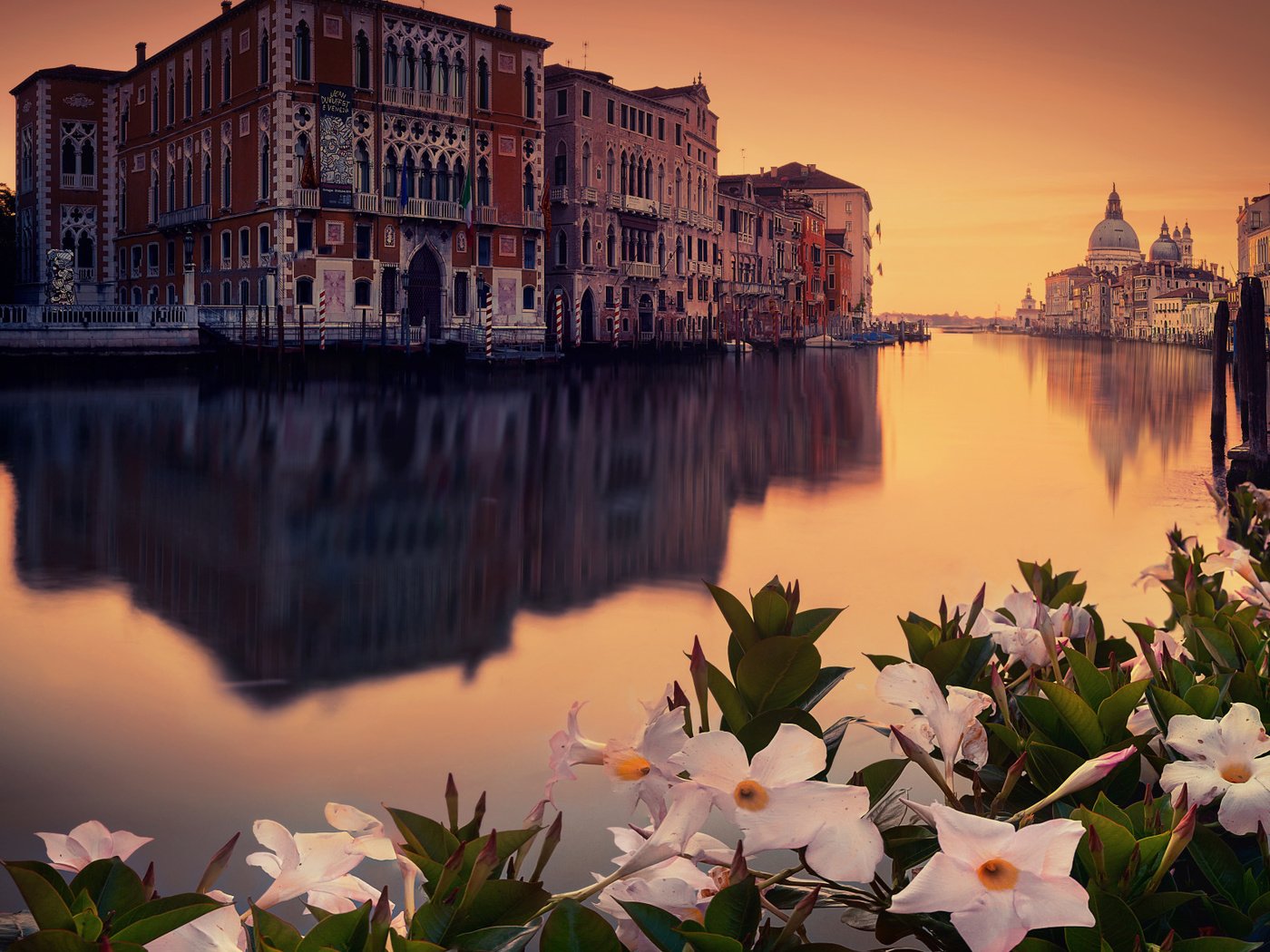 Обои цветы, город, венеция, venecia, flowers, the city, venice разрешение 2112x1188 Загрузить