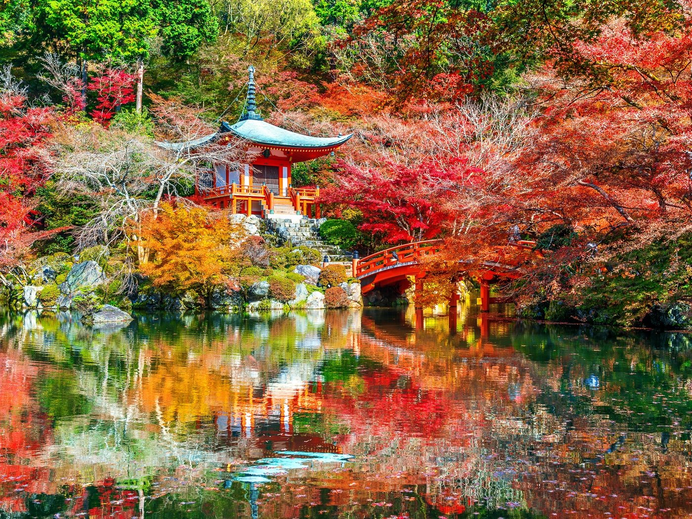 Обои деревья, листья, парк, осень, trees, leaves, park, autumn разрешение 4928x3280 Загрузить