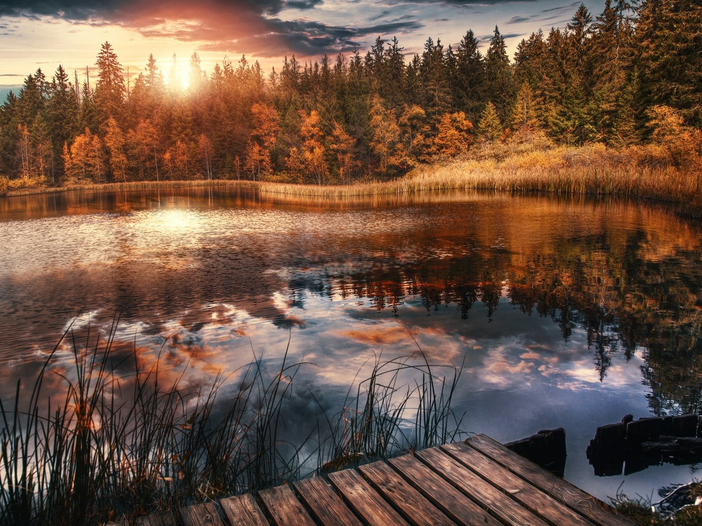 Обои деревья, озеро, лес, швейцария, озеро грюйер, etang de la gruère, trees, lake, forest, switzerland разрешение 2048x1365 Загрузить