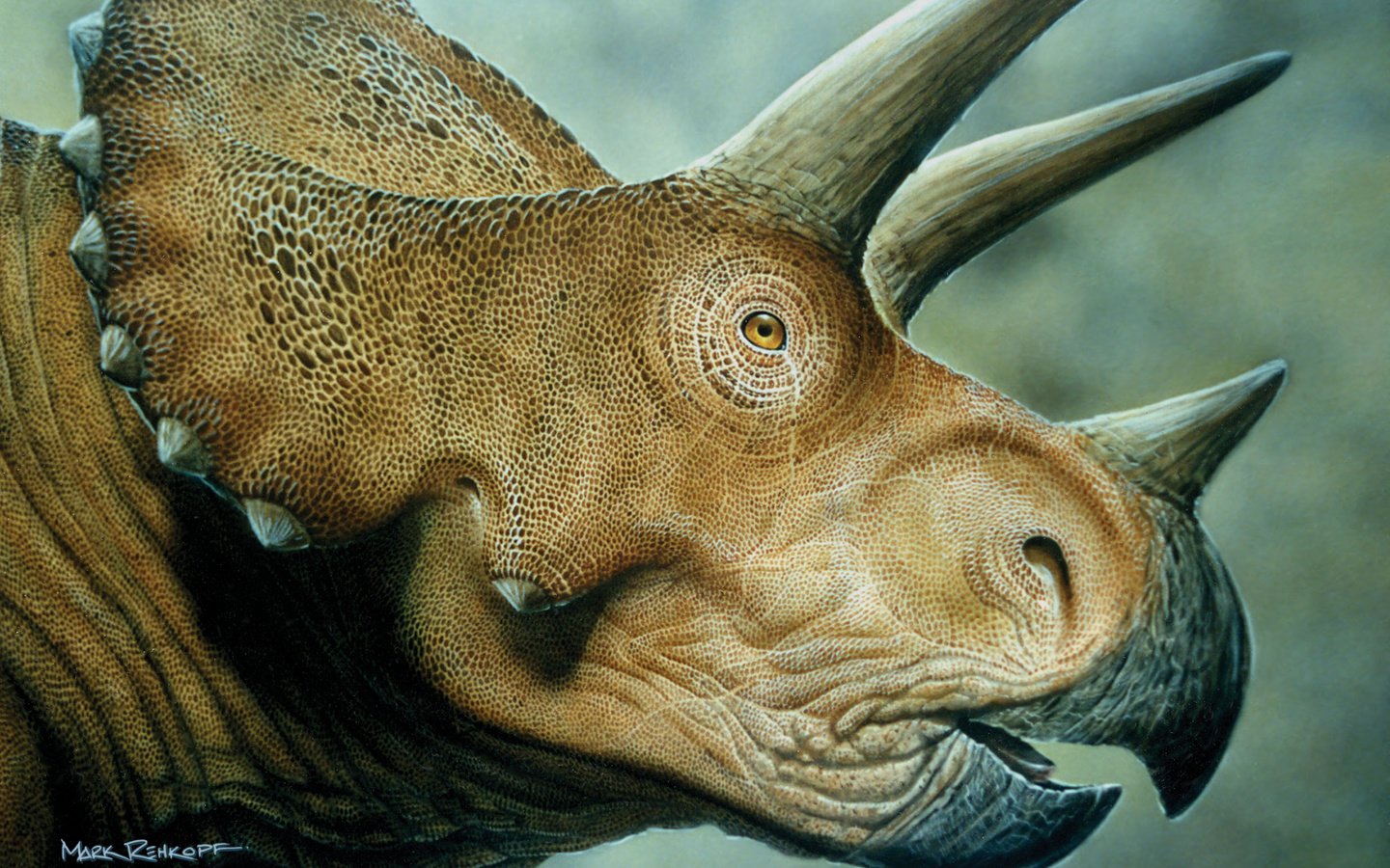 Обои динозавр, triceratops, мродаха, dinosaur, prodaja разрешение 4500x3000 Загрузить