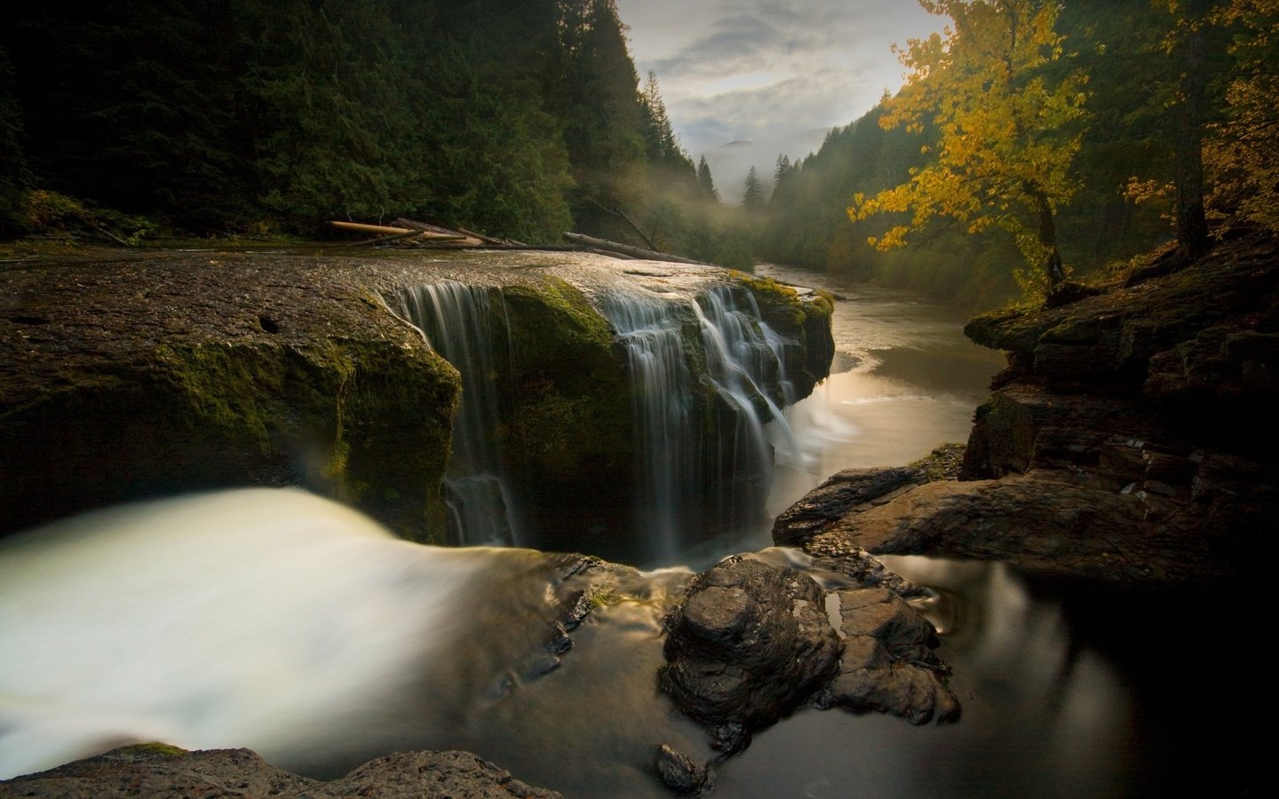 Обои деревья, река, камни, пейзаж, поток воды, trees, river, stones, landscape, the flow of water разрешение 1920x1200 Загрузить