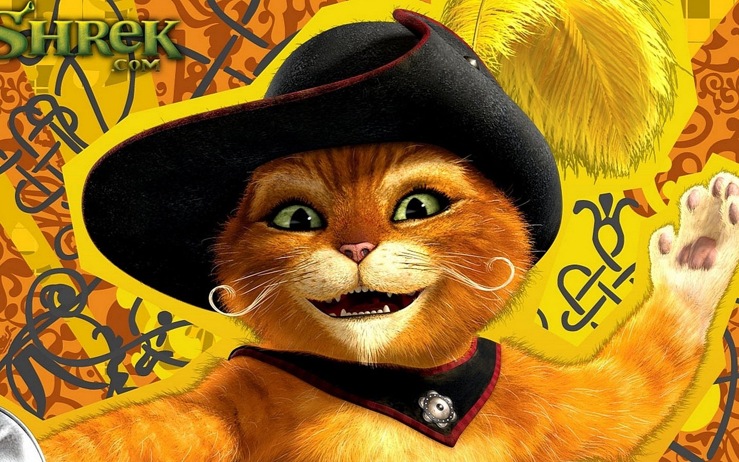 Обои кот, шляпа, шрек, cat, hat, shrek разрешение 1920x1080 Загрузить