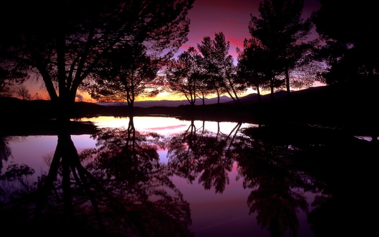 Обои деревья, вечер, озеро, закат, отражение, trees, the evening, lake, sunset, reflection разрешение 1999x1333 Загрузить