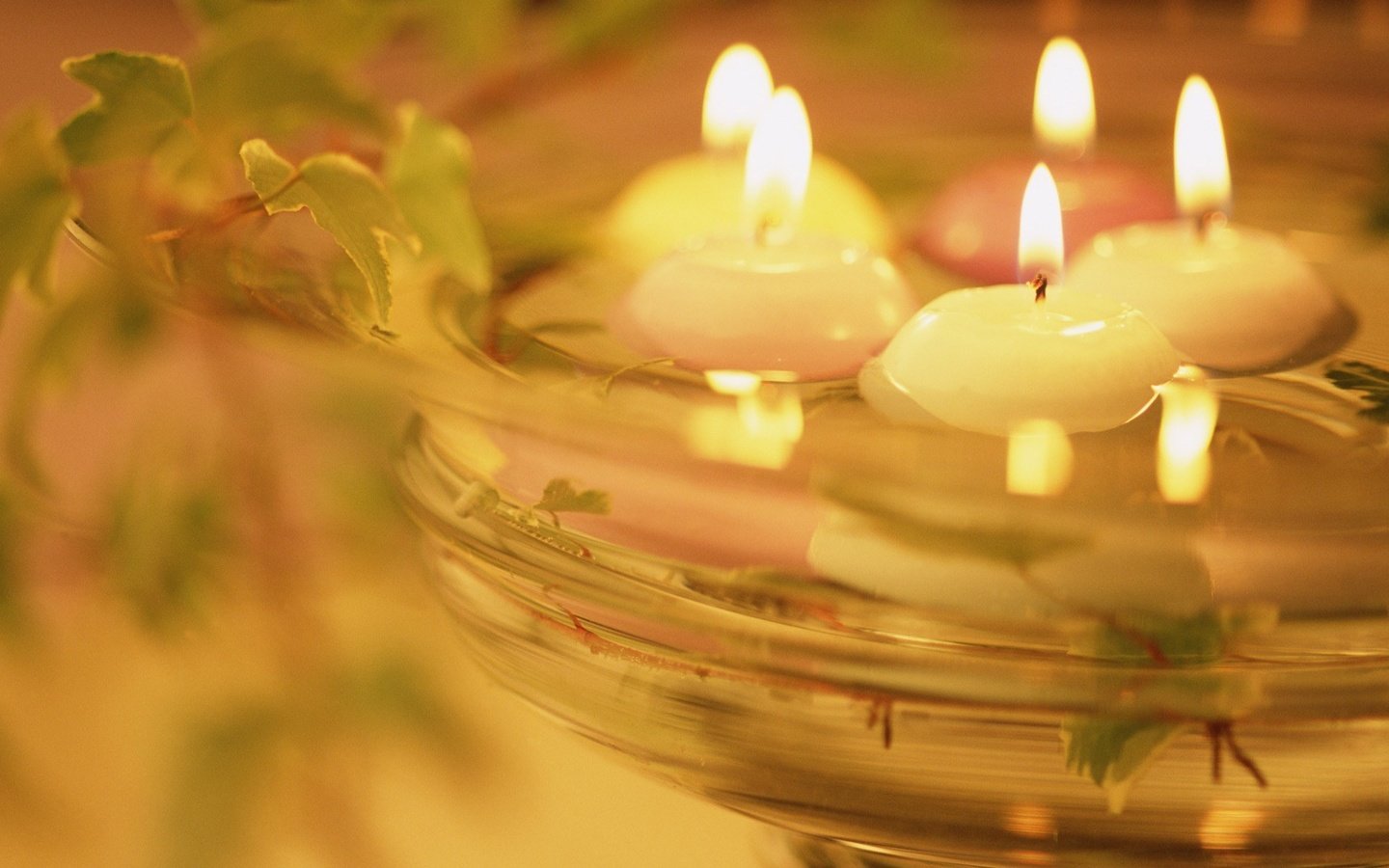 Обои свет, вода, свечи, романтика, растение, тепло, light, water, candles, romance, plant, heat разрешение 1920x1200 Загрузить