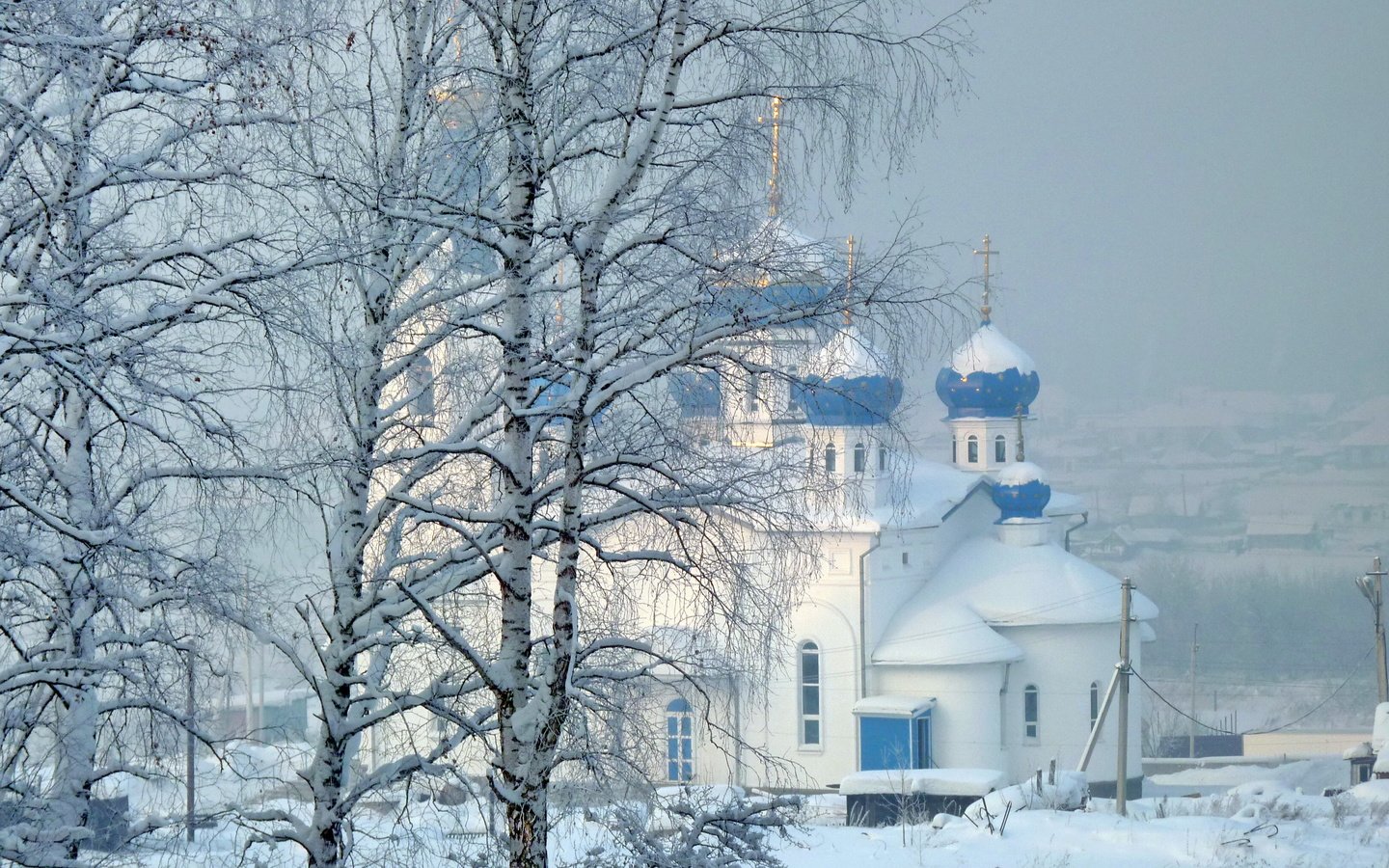 Обои деревья, снег, природа, зима, церковь, trees, snow, nature, winter, church разрешение 3264x2176 Загрузить