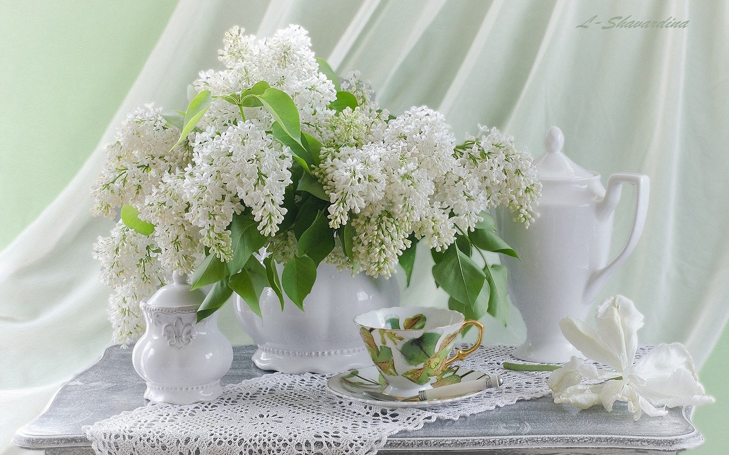 Обои цветы, чашка, салфетка, чайник, сирень, натюрморт, flowers, cup, napkin, kettle, lilac, still life разрешение 1920x1200 Загрузить