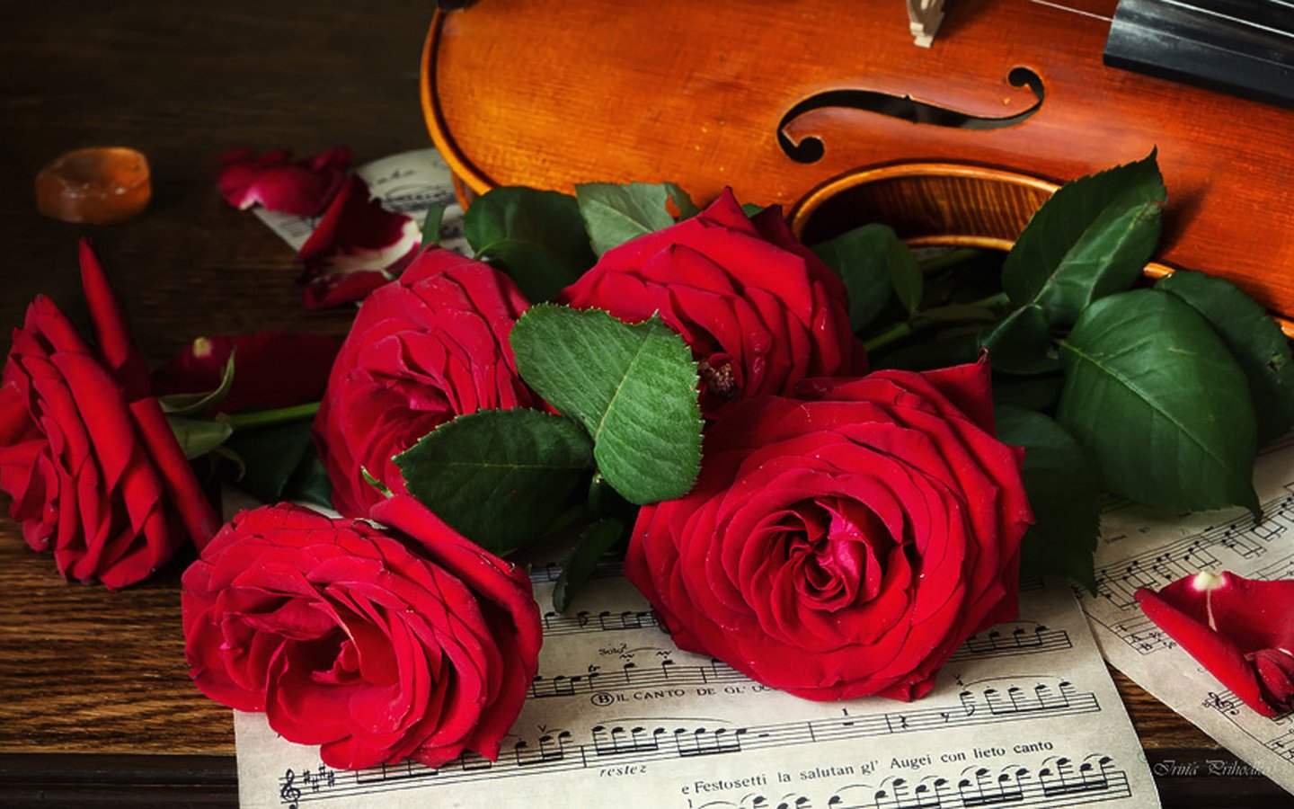 Обои цветы, розы, ноты, скрипка, лист, музыкальный инструмент, flowers, roses, notes, violin, sheet, musical instrument разрешение 1980x1113 Загрузить