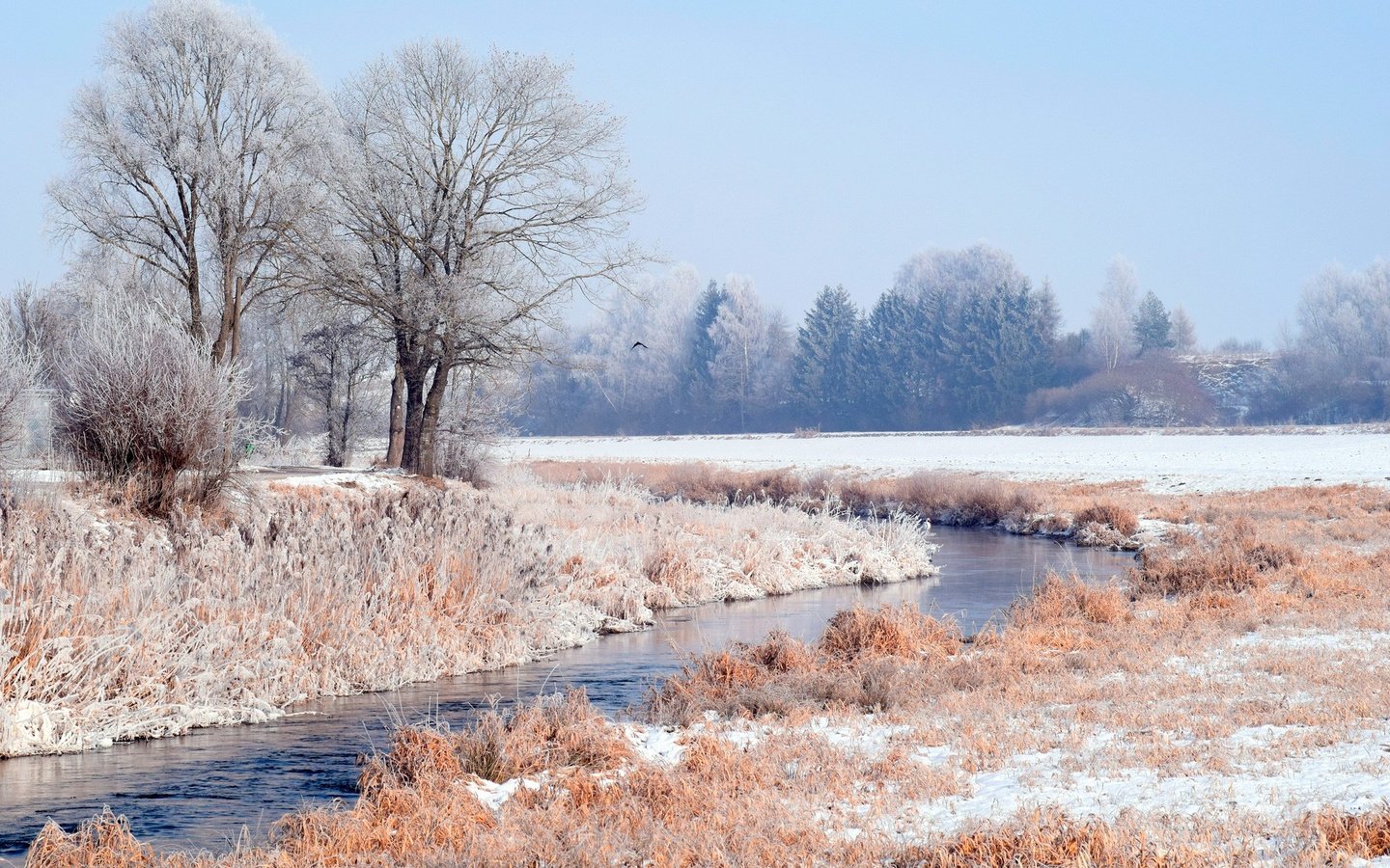 Обои трава, деревья, вода, снег, природа, лес, зима, иней, grass, trees, water, snow, nature, forest, winter, frost разрешение 1920x1317 Загрузить