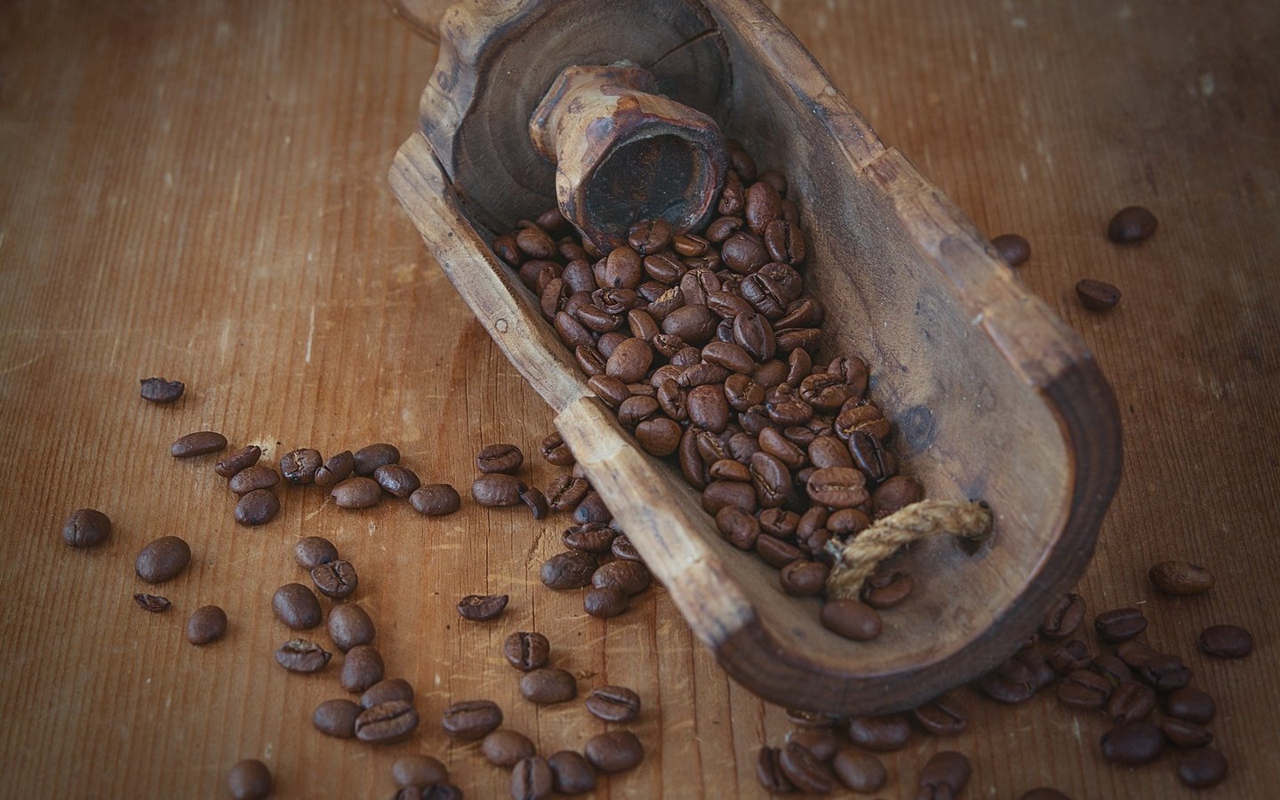 Обои кофе, кофейные зерна, лопатка, кофе в зернах, жареный, coffee, coffee beans, blade, coffee bean, fried разрешение 2000x1333 Загрузить