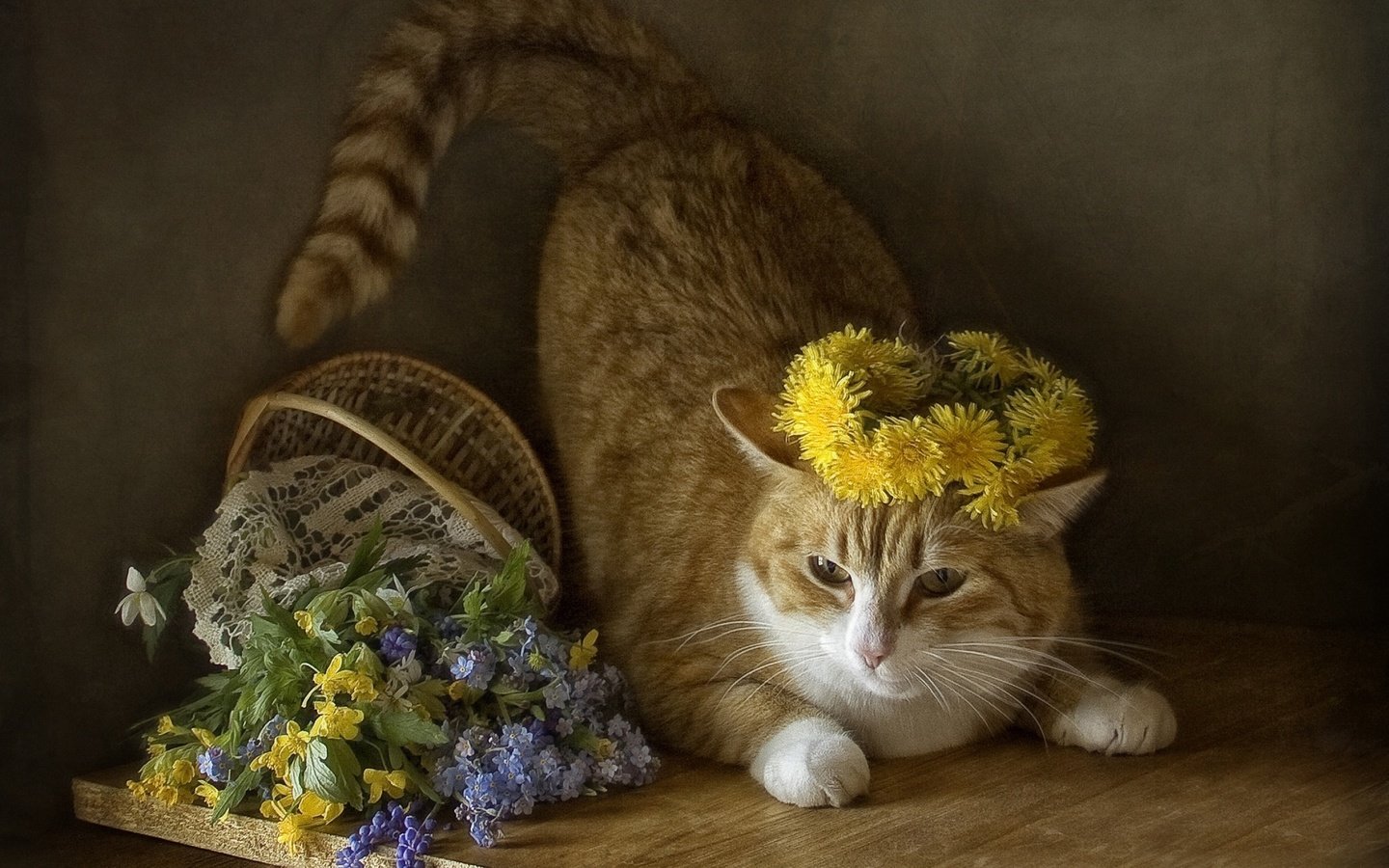 Обои кот, кошка, одуванчики, полевые цветы, венок, корзинка, cat, dandelions, wildflowers, wreath, basket разрешение 1920x1200 Загрузить