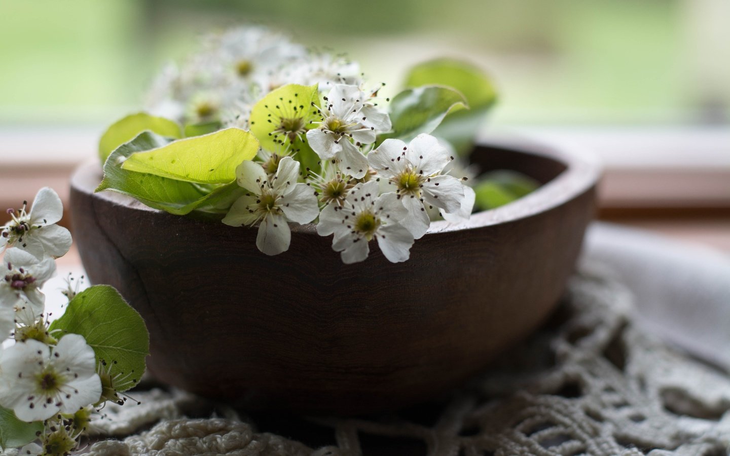 Обои цветы, цветение, листья, лепестки, весна, салфетка, груша, миска, flowers, flowering, leaves, petals, spring, napkin, pear, bowl разрешение 3600x2400 Загрузить